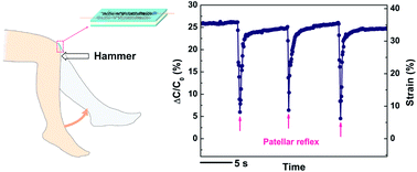 Graphical abstract: Wearable multifunctional sensors using printed stretchable conductors made of silver nanowires