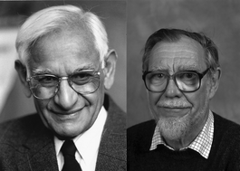 Graphical abstract: Nucleic acids: new life, new materials