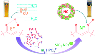 Graphical abstract: Revoking excited state intra-molecular hydrogen transfer by size dependent tailor-made hierarchically ordered nanocapsules