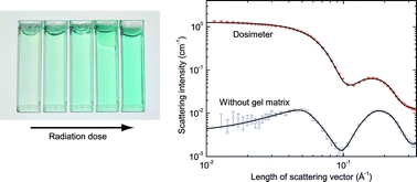 Graphical abstract: Investigation of nanoscale structures by small-angle X-ray scattering in a radiochromic dosimeter