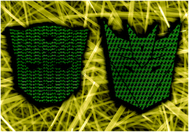 Graphical abstract: Transformers: the changing phases of low-dimensional vanadium oxide bronzes