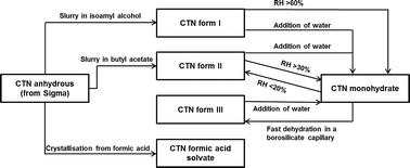 Graphical abstract: Structure and stability of two polymorphs of creatine and its monohydrate