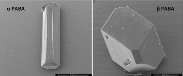 Graphical abstract: Concerning the crystal morphologies of the α and β polymorphs of p-aminobenzoic acid