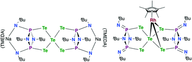 Graphical abstract: Sodium and rhodium complexes of a spirocyclic Te5 dianion supported by P2N2 rings