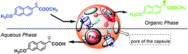 Graphical abstract: Enhanced catalysis and enantioselective resolution of racemic naproxen methyl ester by lipase encapsulated within iron oxide nanoparticles coated with calix[8]arene valeric acid complexes