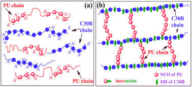 Graphical abstract: Effect of reactive organoclay on physicochemical properties of vegetable oil-based waterborne polyurethane nanocomposites