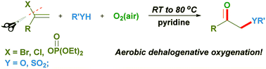 Graphical abstract: O2-mediated C(sp2)–X bond oxygenation: autoxidative carbon–heteroatom bond formation using activated alkenes as a linkage
