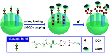 Graphical abstract: Graphene quantum dot-capped mesoporous silica nanoparticles through an acid-cleavable acetal bond for intracellular drug delivery and imaging