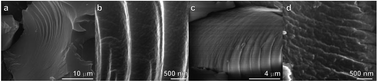 Graphical abstract: Functional silsesquioxane-based hierarchical assemblies for antibacterial/antifungal coatings