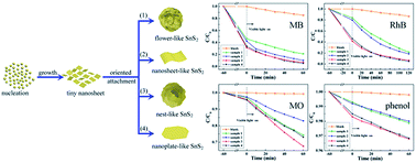 Graphical abstract: SnS2 nanosheet-based microstructures with high adsorption capabilities and visible light photocatalytic activities