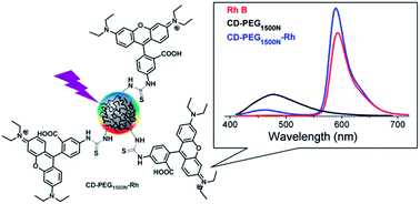 Graphical abstract: Covalent conjugation of carbon dots with Rhodamine B and assessment of their photophysical properties
