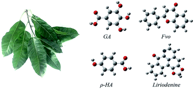 Graphical abstract: Experimental and theoretical investigations of Michelia alba leaves extract as a green highly-effective corrosion inhibitor for different steel materials in acidic solution