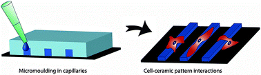 Graphical abstract: Surface micropatterning with zirconia and calcium phosphate ceramics by micromoulding in capillaries