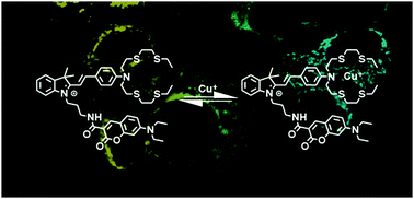 Graphical abstract: A ratiometric fluorescent sensor for the mitochondrial copper pool