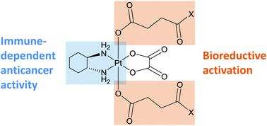 Graphical abstract: Comparative studies of oxaliplatin-based platinum(iv) complexes in different in vitro and in vivo tumor models