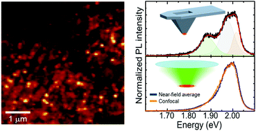 Graphical abstract: Near-field spectral mapping of individual exciton complexes of monolayer WS2 correlated with local defects and charge population