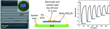 Graphical abstract: Sensor based on chemical vapour deposition-grown molybdenum disulphide for gas sensing application