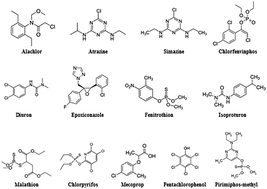 Graphical abstract: A robust analytical method for the determination of pesticide residues in wastewater