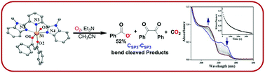Graphical abstract: Nickel(ii) complexes of a 3N ligand as a model for diketone cleaving unusual nickel(ii)-dioxygenase enzymes