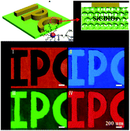 Graphical abstract: Multi-functional organosilane-polymerized carbon dot inverse opals