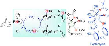 Graphical abstract: Approach to pactamycin analogues using rhodium(ii)-catalyzed alkene aziridination and C(sp3)–H amination reactions