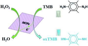 Graphical abstract: A bimetallic Co/Mn metal–organic-framework with a synergistic catalytic effect as peroxidase for the colorimetric detection of H2O2
