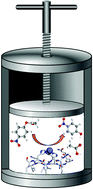 Graphical abstract: Pressure and cosolvent modulation of the catalytic activity of amyloid fibrils