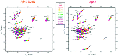 Graphical abstract: High pressure NMR reveals conformational perturbations by disease-causing mutations in amyloid β-peptide