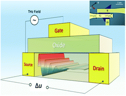 Graphical abstract: Plasmonics with two-dimensional semiconductors: from basic research to technological applications