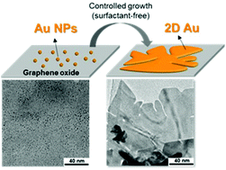 Graphical abstract: Engineering two-dimensional gold nanostructures using graphene oxide nanosheets as a template