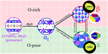 Graphical abstract: Rational synthesis and electrochemical performance of LiVOPO4 polymorphs