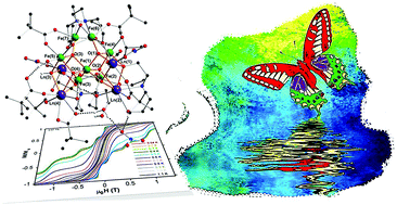 Graphical abstract: Influence of lanthanides on spin-relaxation and spin-structure in a family of Fe7Ln4 single molecule magnets