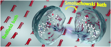 Graphical abstract: Dynamical disorder and resonance energy transfer: a novel quantum-classical approach