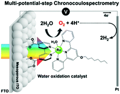 Graphical abstract: Multi-potential-step chronocoulospectrometry for electrocatalytic water oxidation by a mononuclear ruthenium aquo complex immobilized on a mesoporous ITO electrode