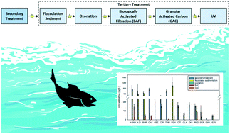 Graphical abstract: Assessing pharmaceutical removal and reduction in toxicity provided by advanced wastewater treatment systems