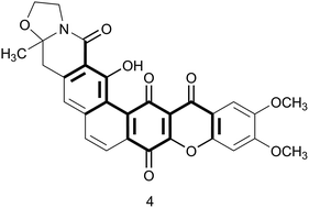 Graphical abstract: The role of computer-assisted structure elucidation (CASE) programs in the structure elucidation of complex natural products