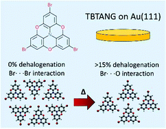 Graphical abstract: Temperature-induced molecular reorganization on Au(111) driven by oligomeric defects