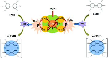 Graphical abstract: Facile synthesis of Cu-CuFe2O4 nanozymes for sensitive assay of H2O2 and GSH