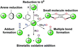 Graphical abstract: The synthesis and versatile reducing power of low-valent uranium complexes