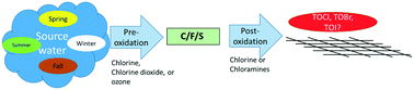Graphical abstract: Total organic halogen (TOX) species formation at different locations in drinking water distribution systems