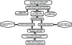 Graphical abstract: In silico evaluation of marine fish proteins as nutritional supplements for COVID-19 patients