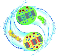 Graphical abstract: CO2-switchable membranes: structures, functions, and separation applications in aqueous medium