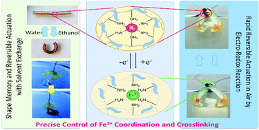 Graphical abstract: Shape memory effect and rapid reversible actuation of nanocomposite hydrogels with electrochemically controlled local metal ion coordination and crosslinking