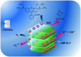 Graphical abstract: Reusable piezocatalytic water disinfection activity of CVD-grown few-layer WS2 on sapphire substrate