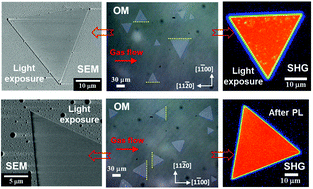 Graphical abstract: Oxidation and Degradation of WS2 Monolayers Grown by NaCl-Assisted Chemical Vapor Deposition: Mechanism and Prevention