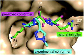 Graphical abstract: Small molecule peptidomimetic trypsin inhibitors: validation of an EKO binding mode, but with a twist