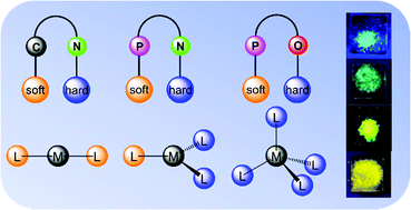 Graphical abstract: Selective coordination of coinage metals using orthogonal ligand scaffolds