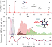 Graphical abstract: Photoelectron–photoion(s) coincidence studies of molecules of biological interest