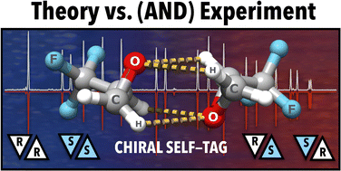 Graphical abstract: Examining the gas-phase homodimers of 3,3,3-trifluoro-1,2-epoxypropane using quantum chemistry and microwave spectroscopy