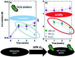 Graphical abstract: Influence of microorganisms on uranium release from mining-impacted lake sediments under various oxygenation conditions